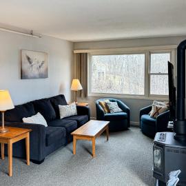 Mountainside Resort F302