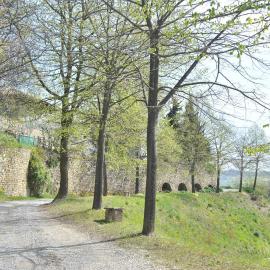 Agriturismo La Rovere