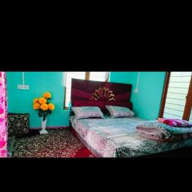 River view home stay, Hotel in Kanzalwan