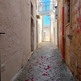 Two-room apartment in the historic center, Hotel in Cutrofiano