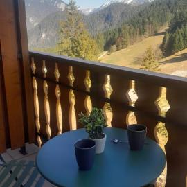 Appartement vu sur la montagne
