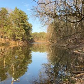 Bungalow im Wald am See - Biberspur, hotel in Zieko