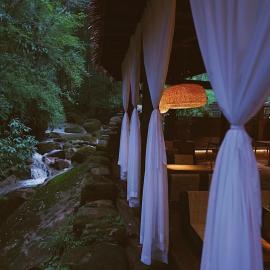 青城山坐忘森林疗愈酒店, hotel a Dujiangyan