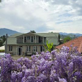 Olga's Home
