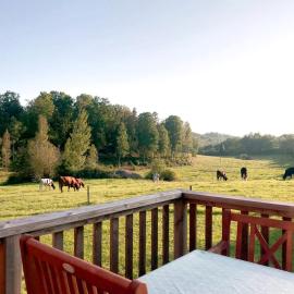 Three Bedroom Cottage Scenic Farm Views Lake Access and Free Boat, hotel v destinácii Valdemarsvik