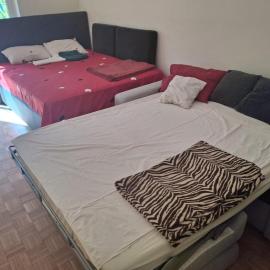 Apartment in Basel Eurovision!