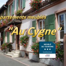 Au Cygne, hotel in Hoerdt