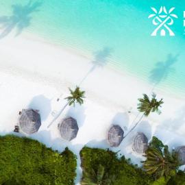 Paradise Palms - Guest House, Hotel in Thoddoo-Atoll