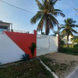 Estudio Independiente, Tres Flamencos