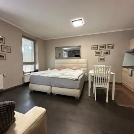 Harrachov Resident Apartments "Terrace & Chill" - high speed WiFi, možnost snídaně, Smart TV, Netflix, Disney plus