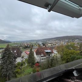 EMI4 Modern Apt Near Swiss Border Free Parking, hotel in Waldshut-Tiengen