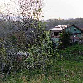 Apartamentos El Puntual, Hotel in Romillo