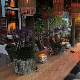 1920Renesse, hotel in Renesse
