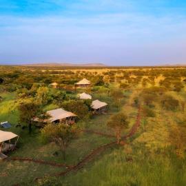 Serengeti Kifaru Tented Lodge, hotel di Mugumu