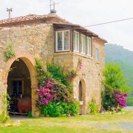 Apartment in Tuscan farmhouse