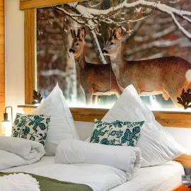 Tonbach 52, Schwimmbad, Sauna, Solarium, Terrasse