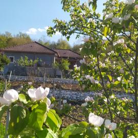 Spring Village Home, hotell i Përmet
