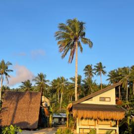 Nalu Aframe Siargao، فندق في Alegria