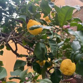 Appartamento vicino al mare