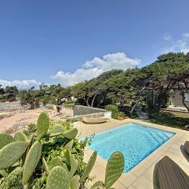 Beachfront villa - Swimming pool & garden