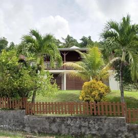Alamanda
