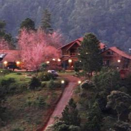 Pinot noir, hotel in Delfim Moreira