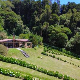 Peaceful Mountain Experience - Coyote House, hotel a Poás