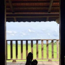 LOOP Farm, hotel in Xã Tầm Hưng (1)