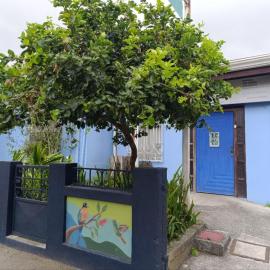 Hostel Casa Ridgway