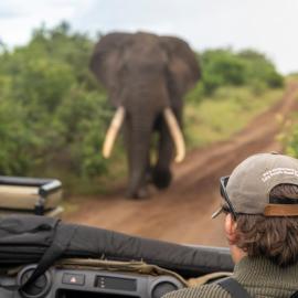 Sungulwane Private Game Lodge โรงแรมในฮลูฮลูเว