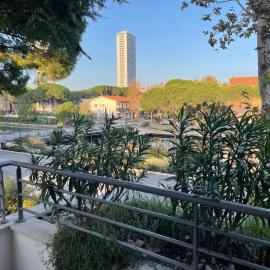 La terrazza dei delfini