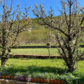 Le Nid - Maison proche de la forêt: Frouard şehrinde bir otel