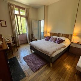 chateau de Pougy, hotel in Pougy