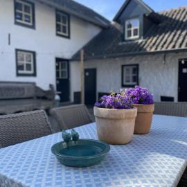 17 4p Historical Cottage near Valkenburg