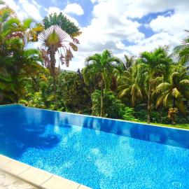 Villa LES TILILIS - BELLE VILLA DE 300 M2 SITUEE AU CALME AVEC GRANDE PISCINE ET VUE MONTAGNE