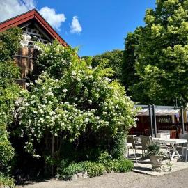 Vandrarhem Labbyt, hotel v destinácii Lövstabruk