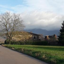 Agriturismo Poderi Minori, hotel u gradu Bibijena