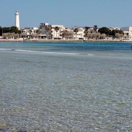marevale
