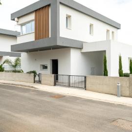 Protaras Rustic Paradise Luxury Villa 1, hotel di Protaras