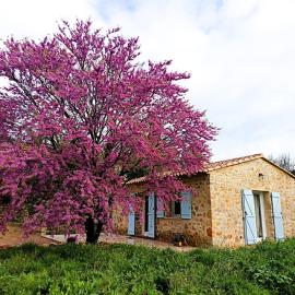 Location maison LORGUES "Les victorines"