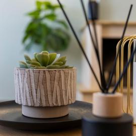 THETIS Luxury House