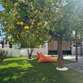 Peaceful Holiday house with Garden