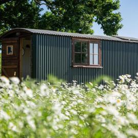 Harbour Ranch Hut - Rustic Countryside Escape