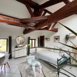 Appartement T2 Le Corrandin, hotel u gradu Chaponost