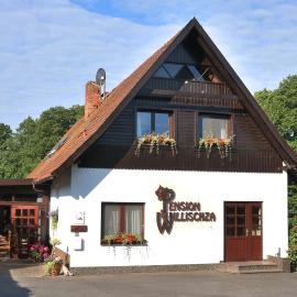 Pension Willischza, hotel in Burg