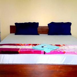 Unicorn guest house
