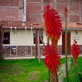 "Casita de Geranios ", hotel in Chivay