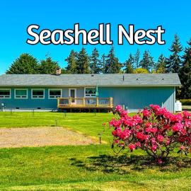 Sq Seashells Nest