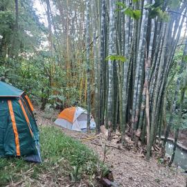 Campamento equipado de bosque, khách sạn ở Cuetzalán del Progreso