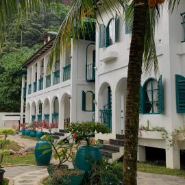 JungleRiverHouse & JungleRiverResort